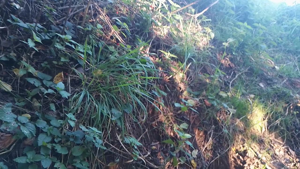 Seilweg Hoch
