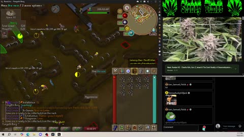 Burg's Lounge.. Runescape n' Chill 10-6 #Live #Cannabis #420 #OSRS