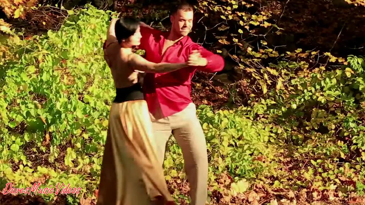 David Cassidy. Could It Be Forever