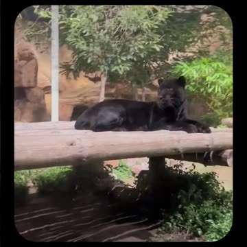 Sadhguru leading the way with Vanatara Foundation #GoGreen #anantdadadt #anantambanidt