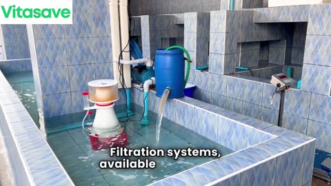 Discover the Power of Santevia Water Filtration: Clean, Mineral-Rich Water at Home