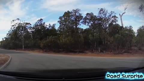 Dashcam / Focus The Road When You Drive