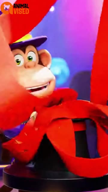 Funny Animal Talent Show Chaos 😂🎤 | Hilarious Animal Performances