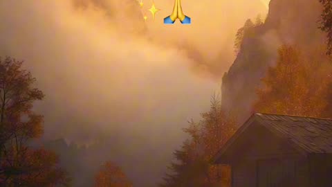 🙏✨Evangelio de hoy Domingo, 7 de Diciembre del 2025✨🙏