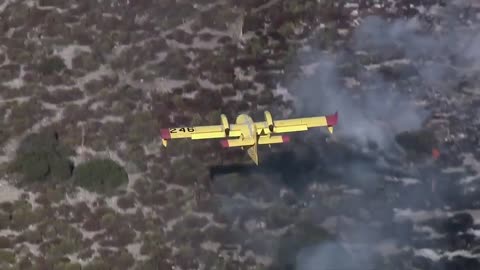 🤯🔥 Watch Firefighters in Santa Fe Fight a Massive Blaze! | FeedMyCuriosity