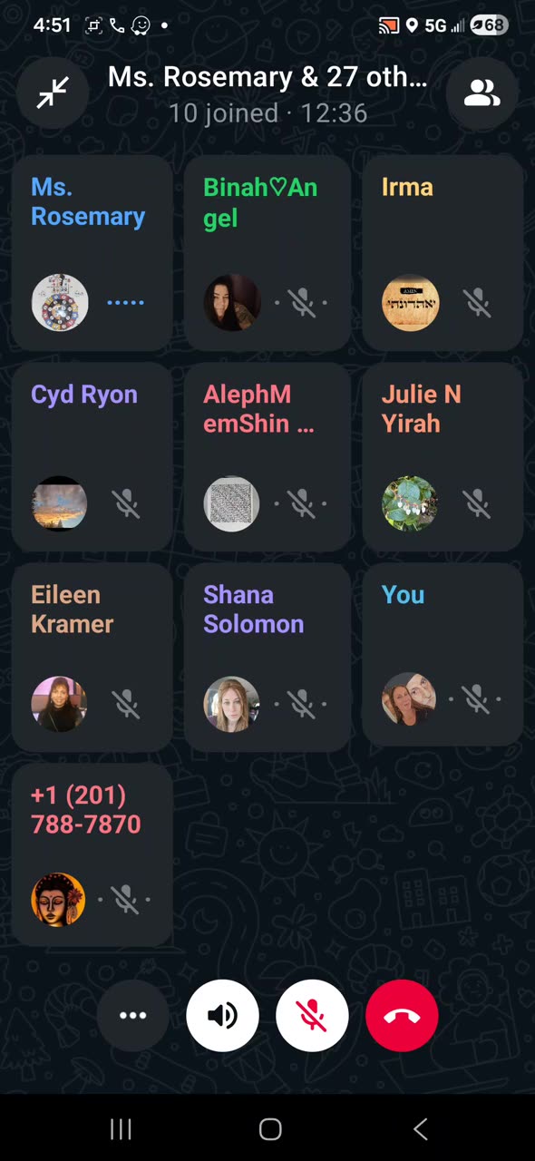 MESSAGE TO THE WARRIORS. MS ROSEMARY'S PRAYER 11-02-2025