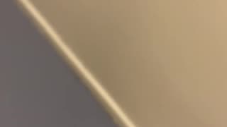 Walking Jan 11, 2026