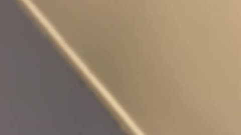 Walking Jan 11, 2026