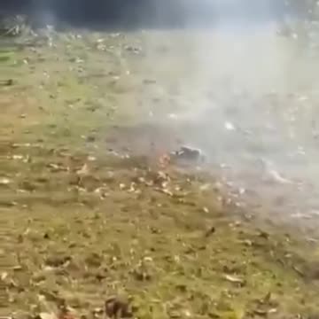 🇲🇲Rebels in Myanmar Still Figuring Things Out