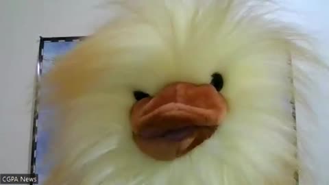 Is the Slaughter of Over 330 Healthy Ostriches Connected to WHO guidelines Plus Agenda 2030 Mandate