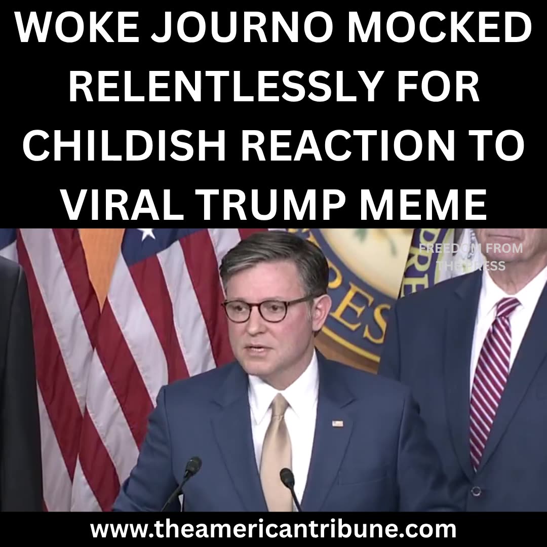 WATCH: Mike Johnson Hilariously Skewers Reporter Who Got Triggered by Trumpâs Funny Meme
