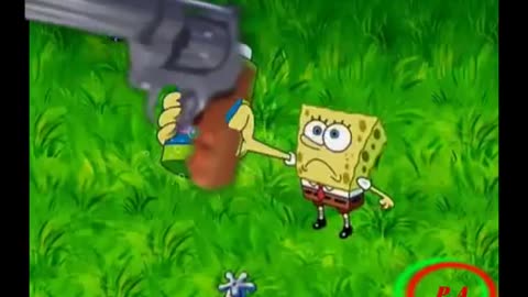 YTPH - El club de los observadores de bikinis o_O