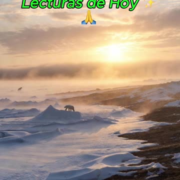 🙏✨ Oración Inspirada en las Lecturas de Hoy ✨🙏