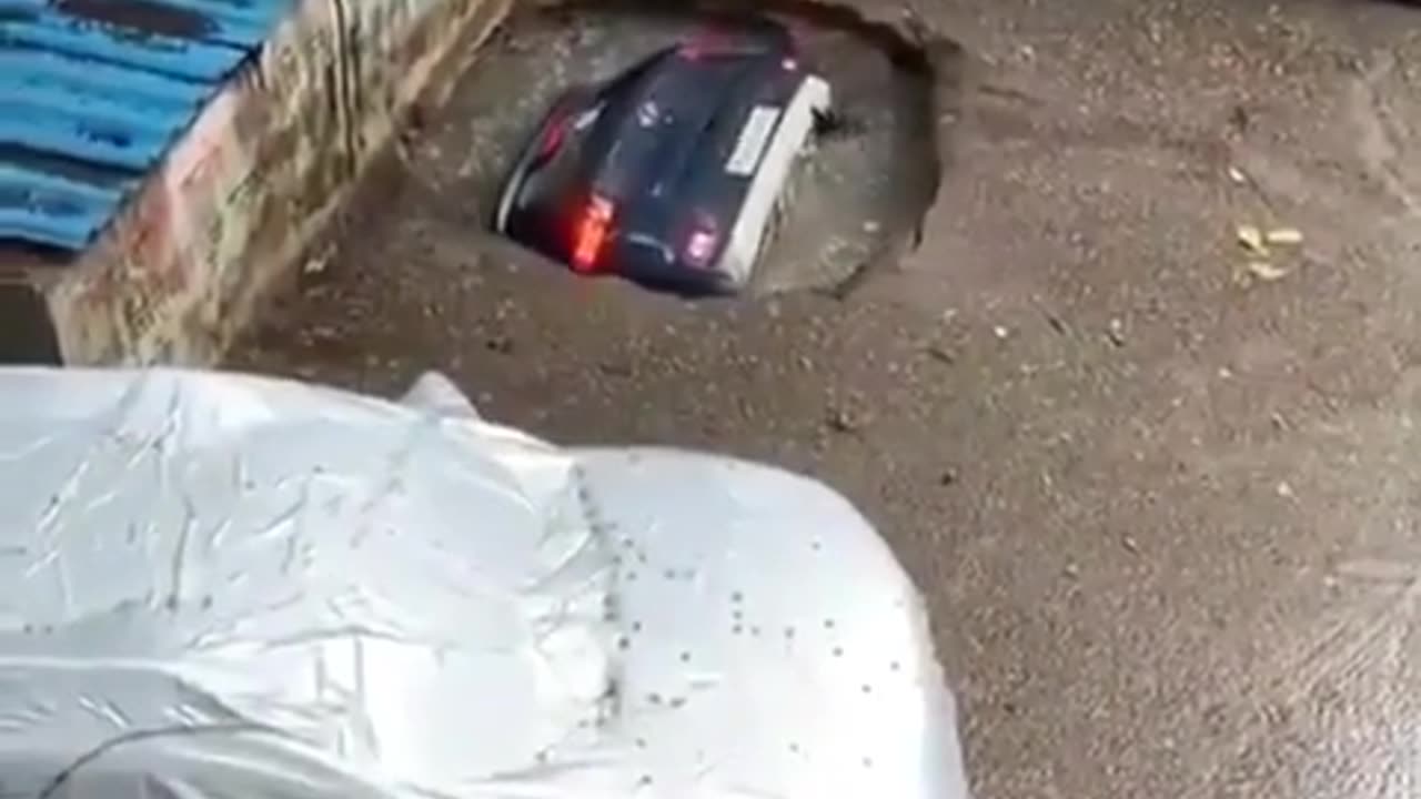 Video 19