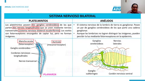 ANUAL ADUNI 2021 | Semana 27 | Geografía | Biología