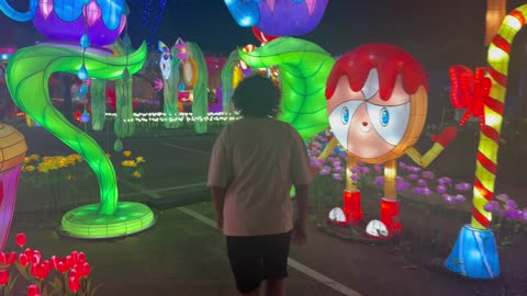 Booboo in Wonderland