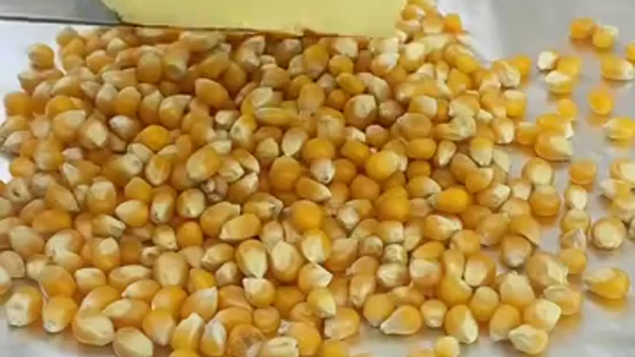Cat cooking popcorn