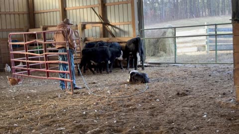 Charlie, 12/28/2025-2