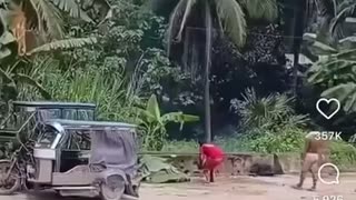 😂💥 Forgot Self Awareness After Lighting Firecrackers! | FunFM