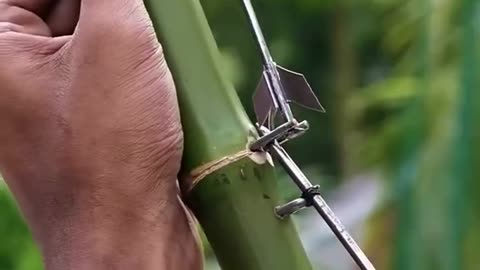 Jalwa Jalawa Bamboo Bolt arrow for hunting