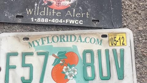 I didn’t realize the plate was under there. It was only the front