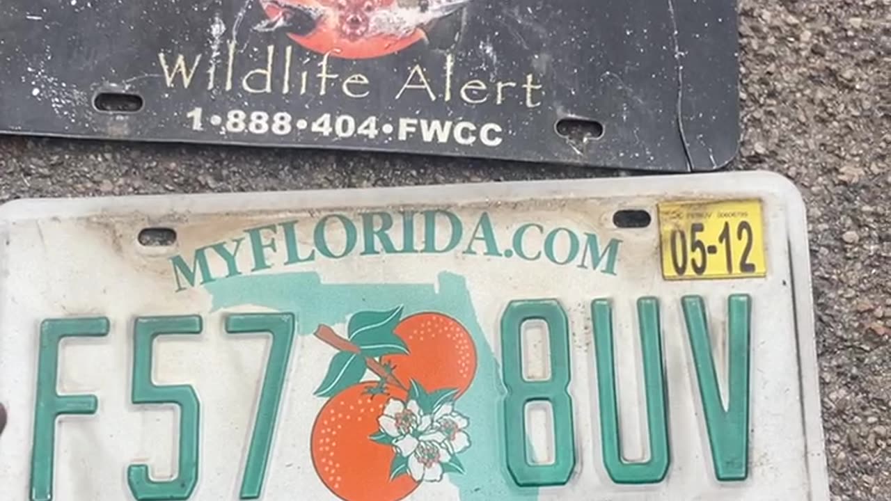 I didn’t realize the plate was under there. It was only the front