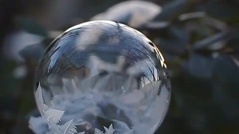 🤯❄️ Watch This Bubble Freeze In Mid-Air! | FeedMyCuriosity