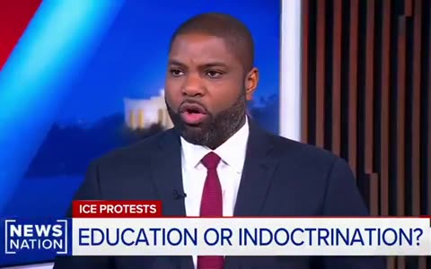 'This Is All Fake. It's All Phony. It's All Astroturf': Byron Donalds