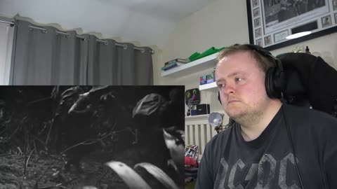 Northerner reacts to, The world at war #15