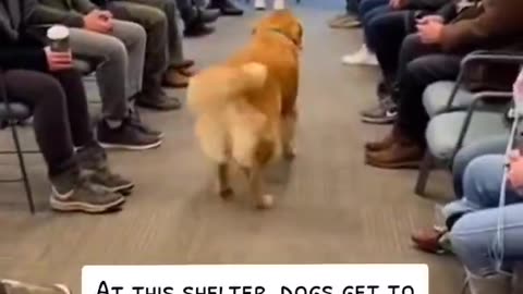 Woe Day 112. I am in the ark. Waiting for GOD to open the Door for a spring/summer Pentecost rapture