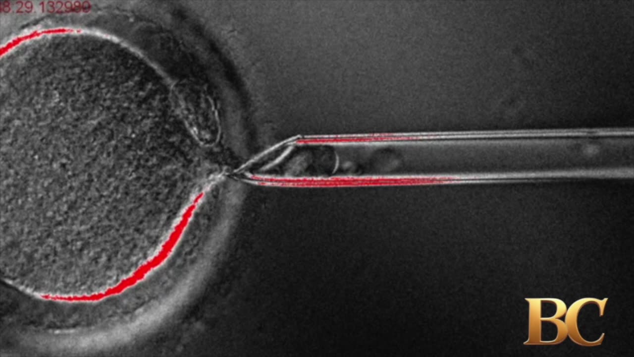 Scientists use cloning technology to swap DNA in human eggs