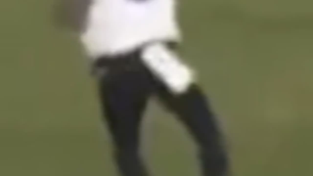 Did Ravens Players Get Harbaugh Fired?