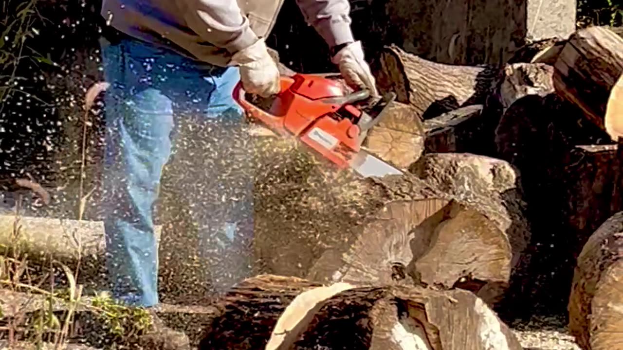 Husqvarna 460 Rancher Gas Chainsaw