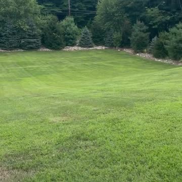 12pcs Round Wood Slices Unfinished Natural Wood Crafting Slices for DIY Crafts Wood Cup Coaster