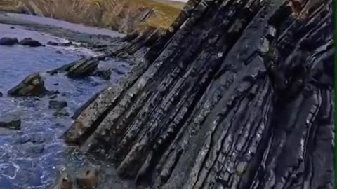 🙏✨ Thank You Jesus | A Grateful Heart | InGodWeTrustDaily