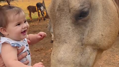 Baby Loves Horse
