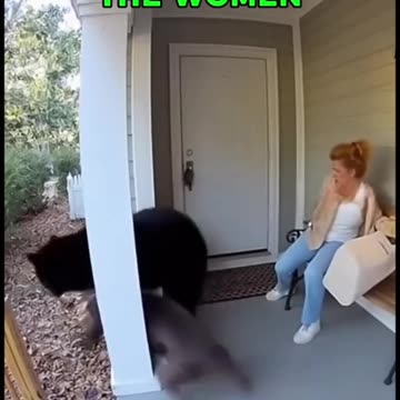 Halloween decorations and wild animals DO NOT MIX!