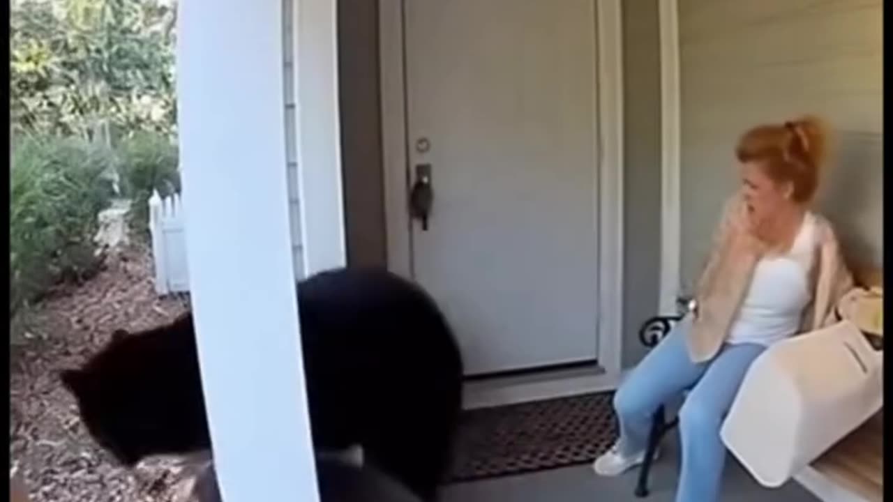 Halloween decorations and wild animals DO NOT MIX!