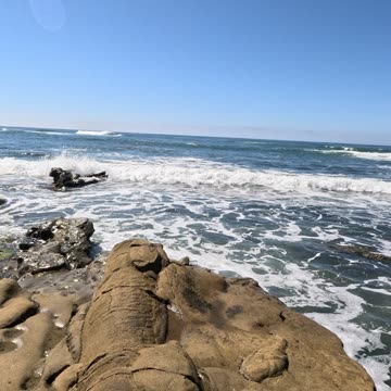 Sunshine Beach Time in La Jolla San Diego #beach #waves #sunshine