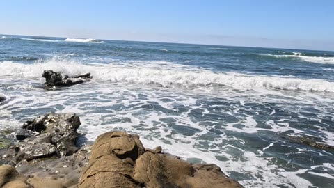 Sunshine Beach Time in La Jolla San Diego #beach #waves #sunshine