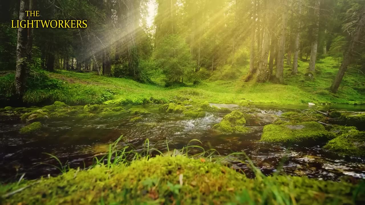 “𝐈𝐓 𝐁𝐄𝐆𝐈𝐍𝐒 𝐍𝐎𝐖! 𝐓𝐫𝐮𝐦𝐩 𝐑𝐄𝐕𝐄𝐀𝐋𝐒 𝐖𝐇𝐀𝐓’𝐒 𝐂𝐎𝐌𝐈𝐍𝐆 𝐓𝐇𝐈𝐒 𝐌𝐎𝐍𝐓𝐇!” (The System Collapse Has Started!)