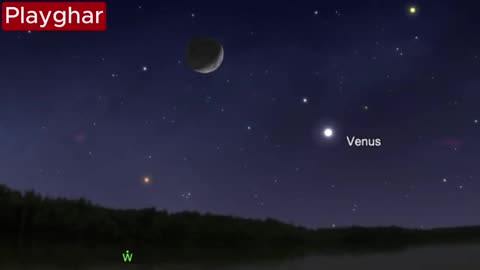 Full Moon in Leo on February 12, 2025
