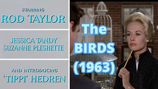 Highlights - Alfred Hitchcock’s The Birds – Vintage Horror That Still Terrifies Us Today