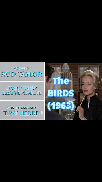 Highlights - Alfred Hitchcock’s The Birds – Vintage Horror That Still Terrifies Us Today