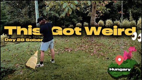 I Made Raking Leaves… Interesting 🍂 (Day 28 Sober) Hungarian Village Life🇭🇺