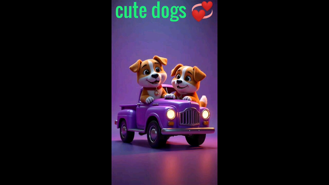 cute dog