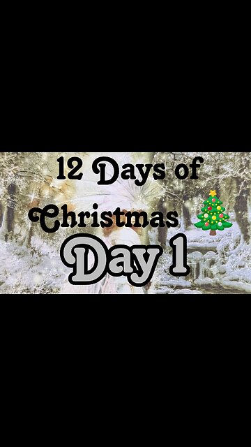 12 days of Christmas - day 1, Butterfly Insightful Daily Tarot