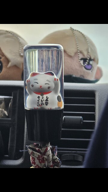 Chang Puak - Animal show