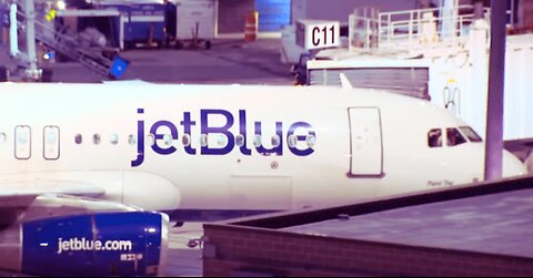 Two Dead Bodies Found in Landing Gear of JetBlue Plane