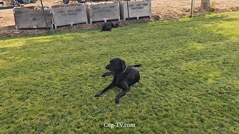 Graham Family Farm NW: 10:20 AM October 10 2025